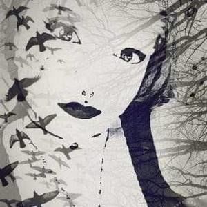 Meet your Posher, Misty